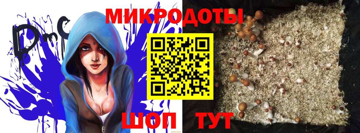 Галлюциногенные грибы мицелий Ачинск
