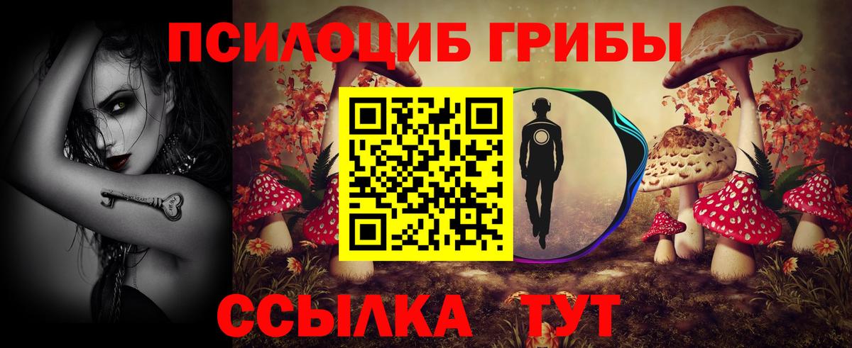 Ачинск  Галлюциногенные грибы Psilocybine cubensis  Вход с VPN  Псилоцибиновые грибы Psilocybine cubensis 